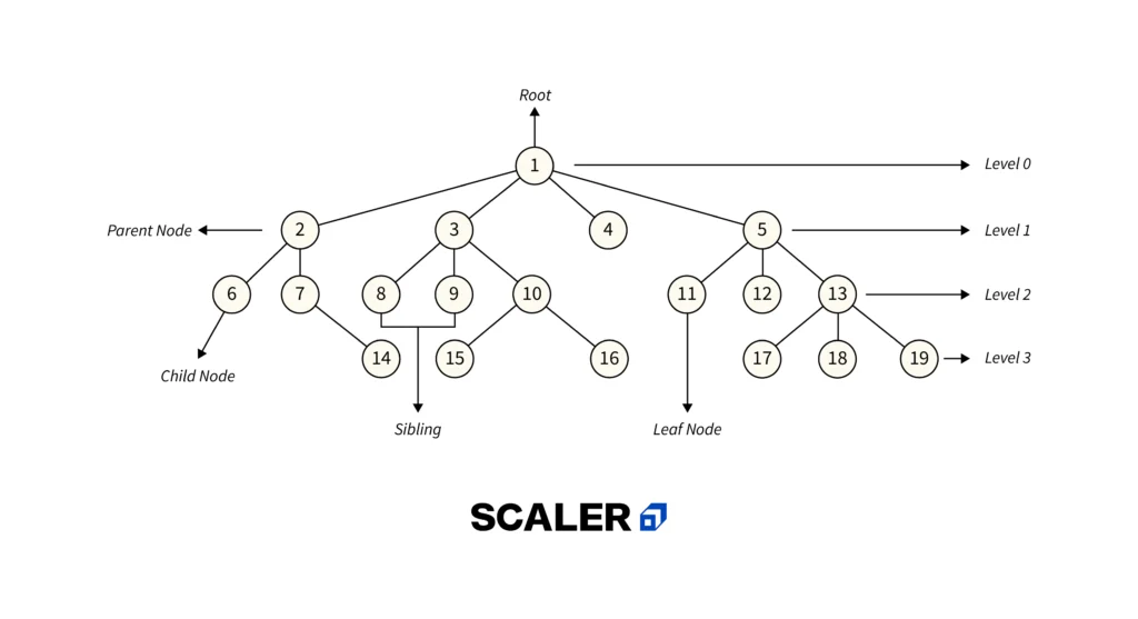 DSA Roadmap: Learn Data Structures and Algorithms [2024]