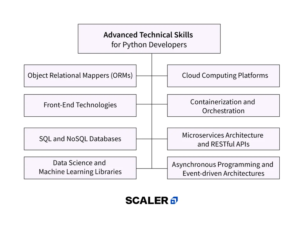 Top 20+ Python Developer Skills You Need in 2024