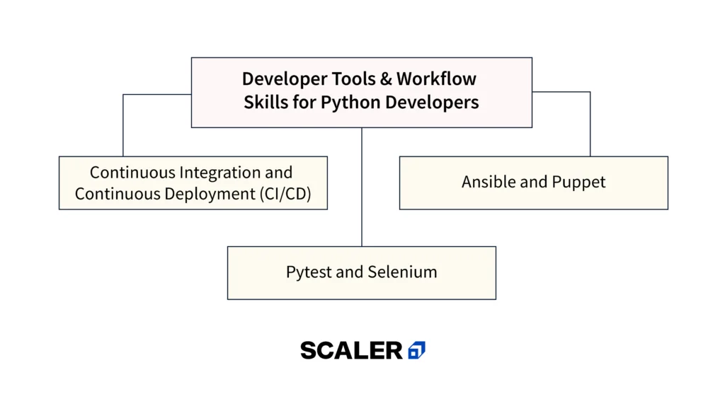 Top 20+ Python Developer Skills You Need in 2024