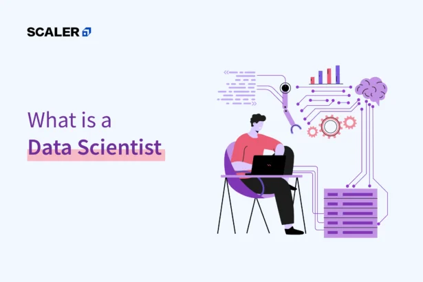 what is a data scientist